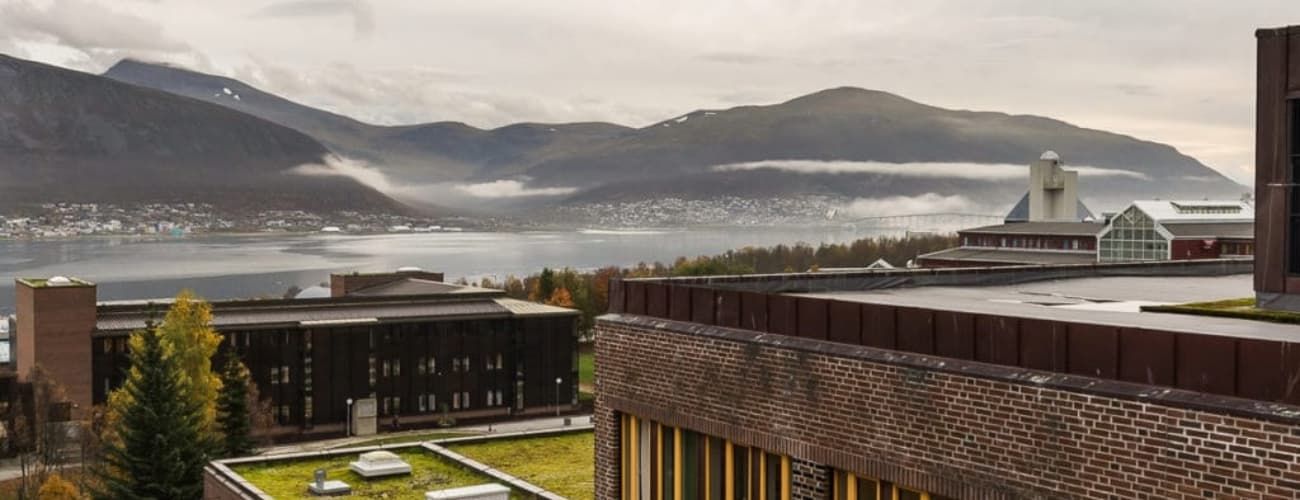 معرفی ۵ دانشگاه برتر نروژ